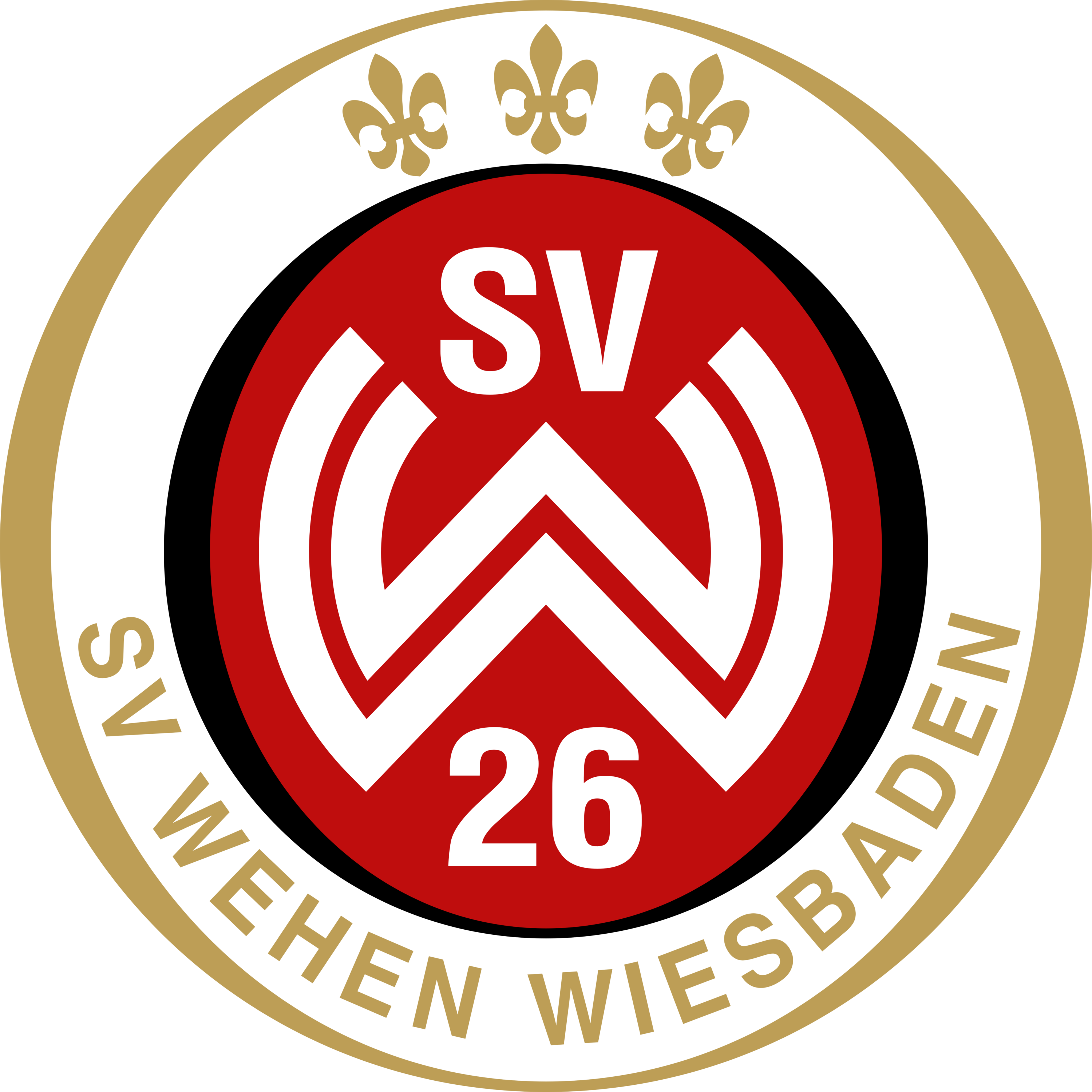 SV Wehen Wiesbaden Logo