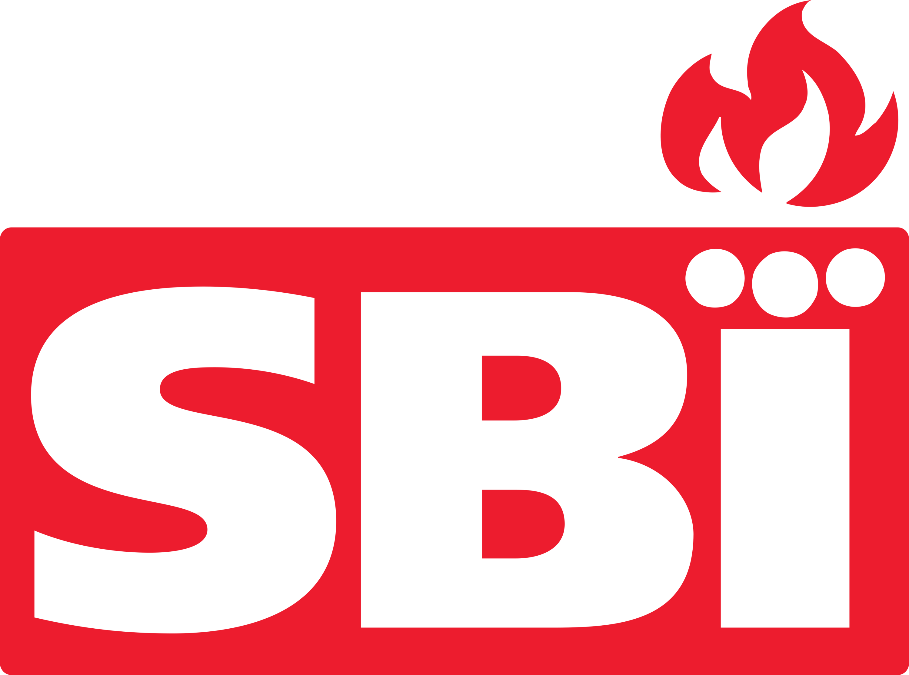 Stove Builder International Logo