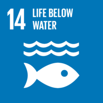The Global Goals Life Below Water Logo