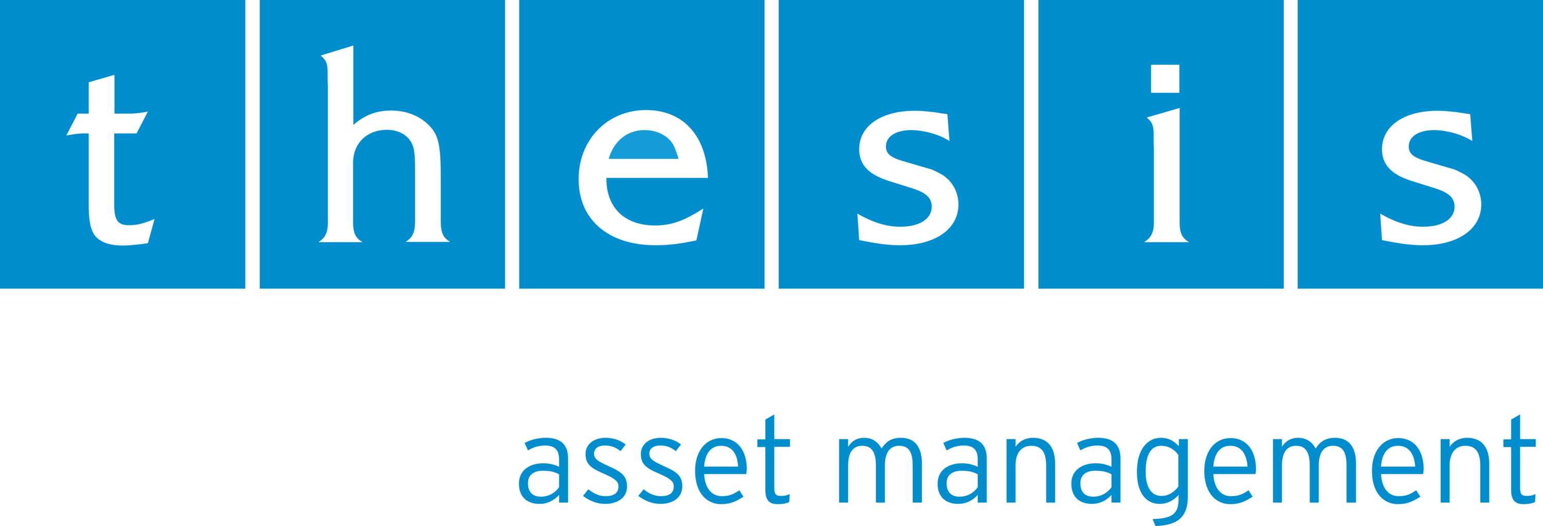 Thesis Asset Management Logo