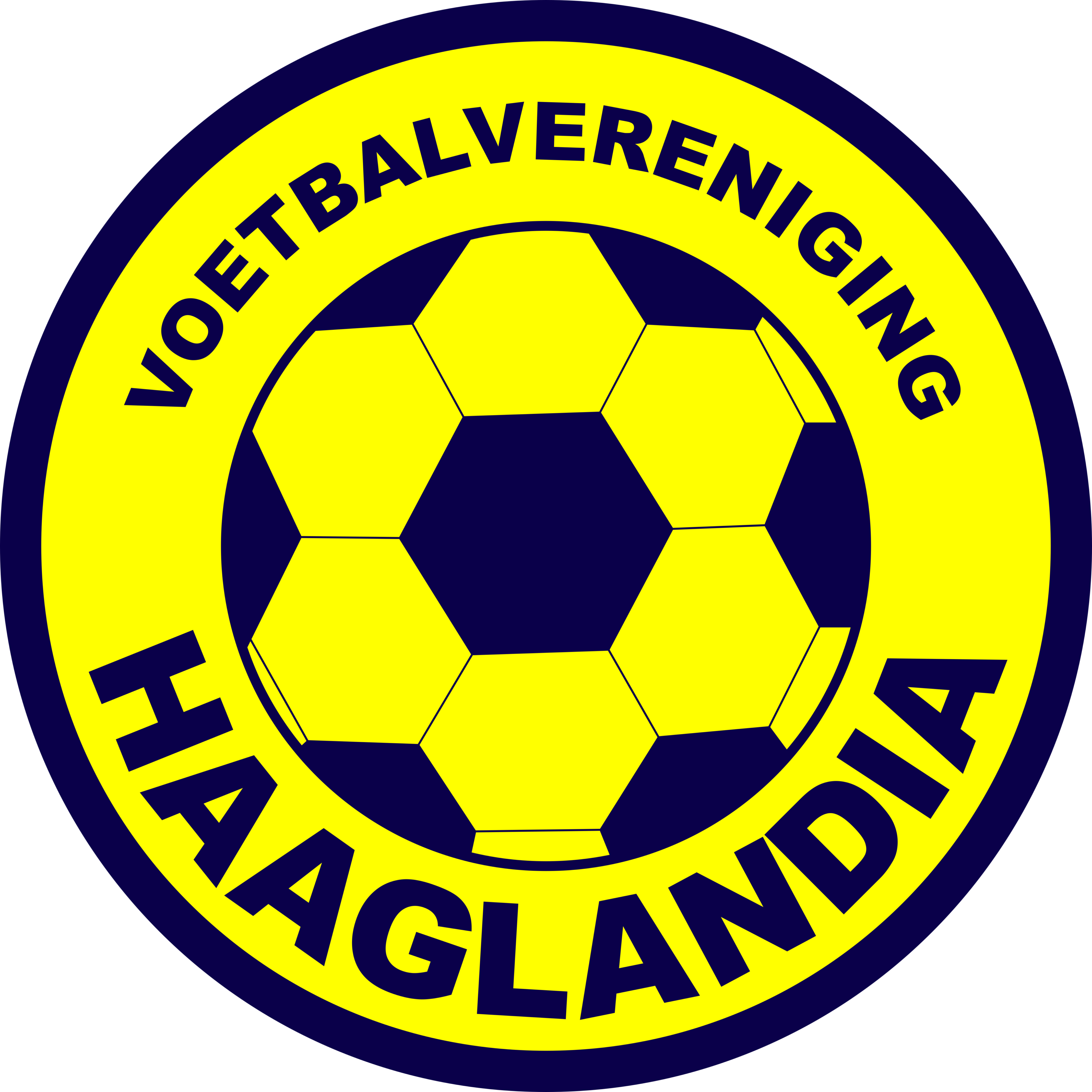 VV Haaglandia Logo