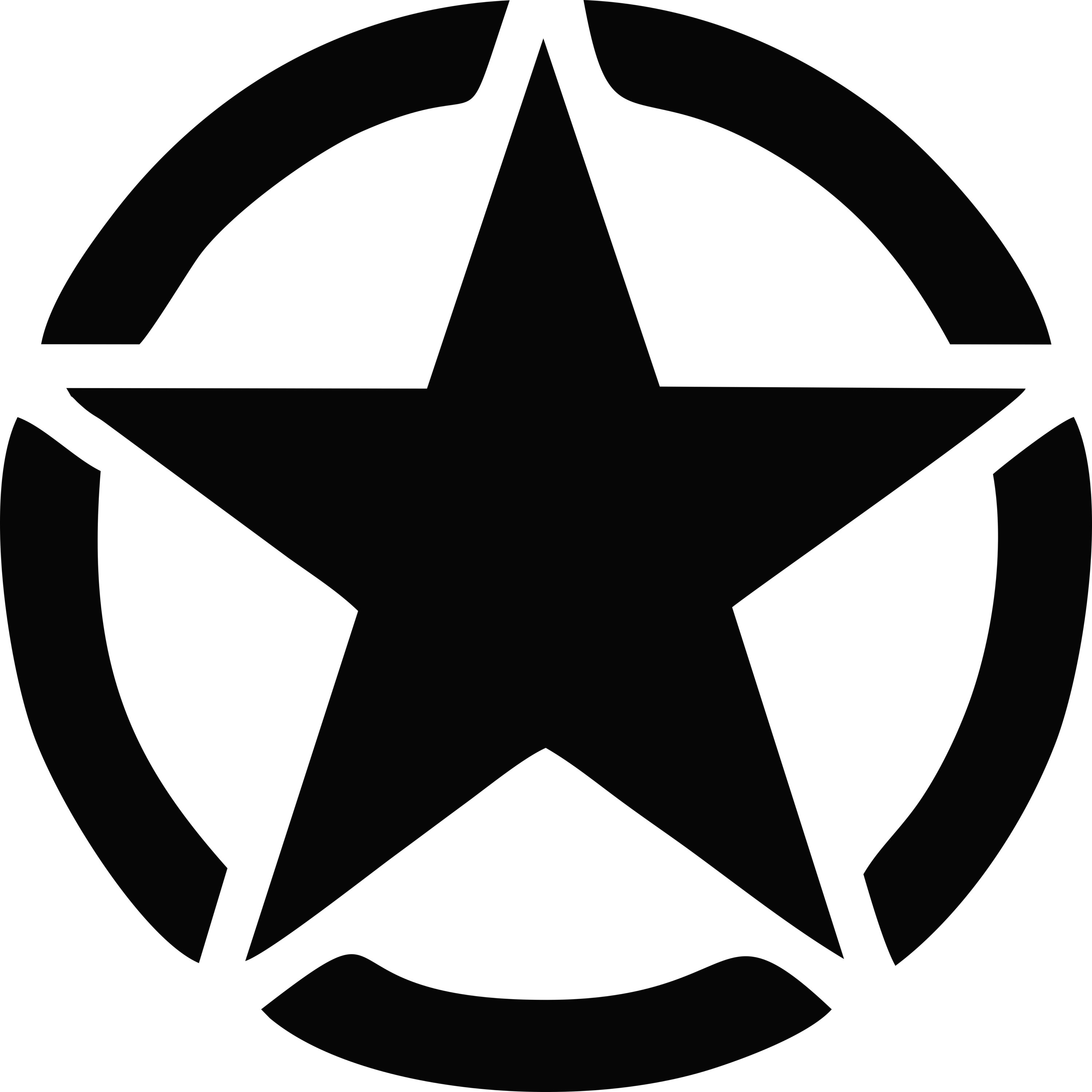 WOLF Star Logo