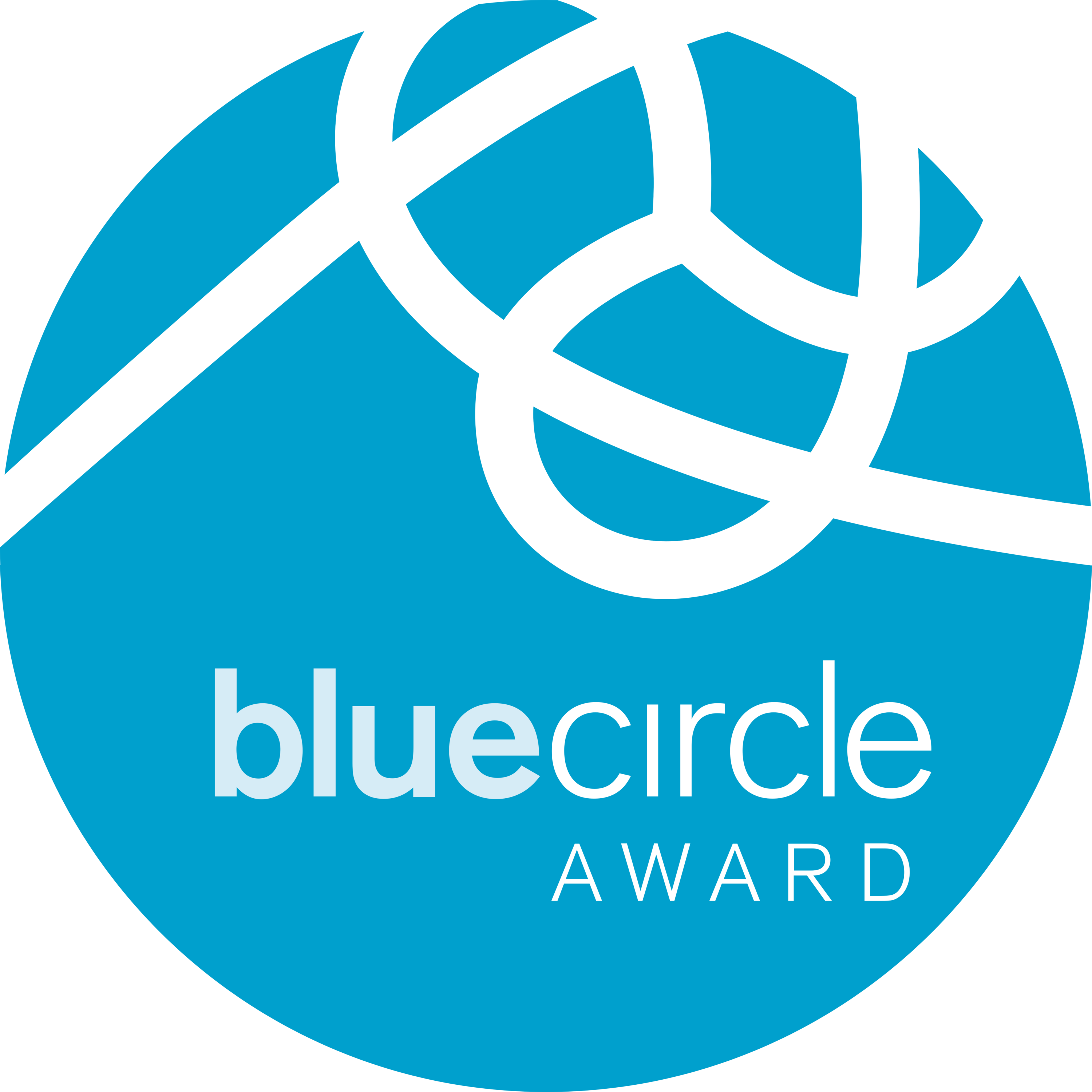 Blue Circle Awards Logo