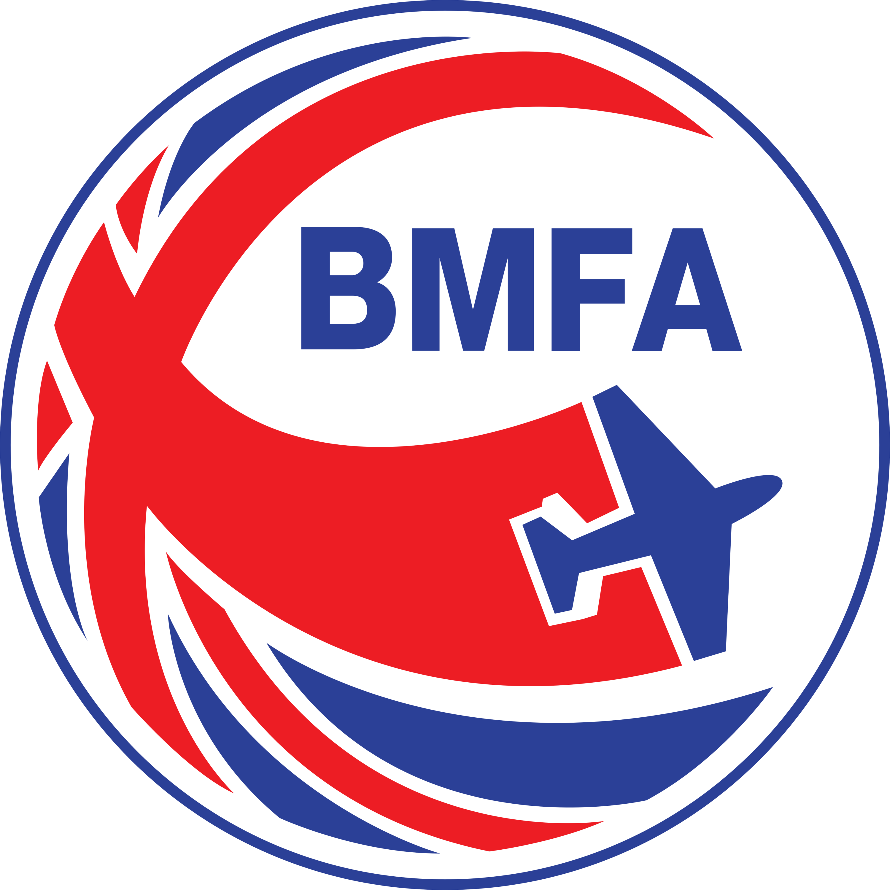 British Model Flying Association Logo