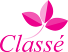 Classe Logo