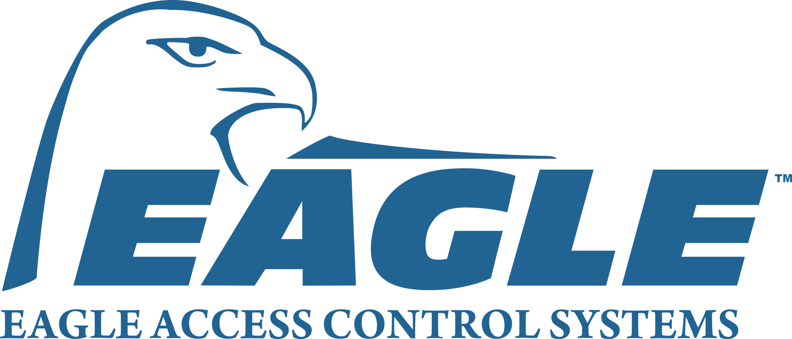 Eagle Access Control Systems Logo
