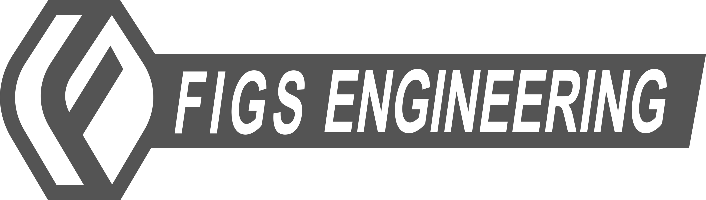 FIGS Engineering Logo