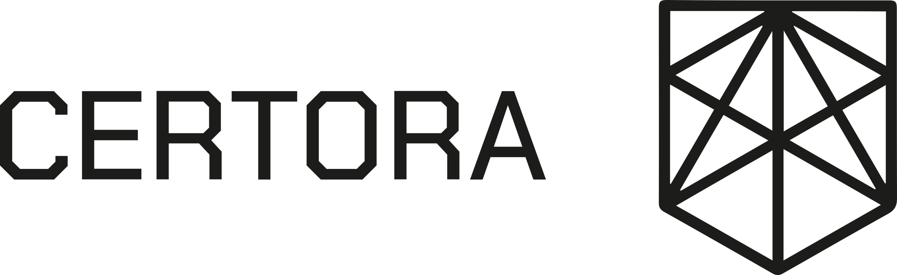 Certora Logo
