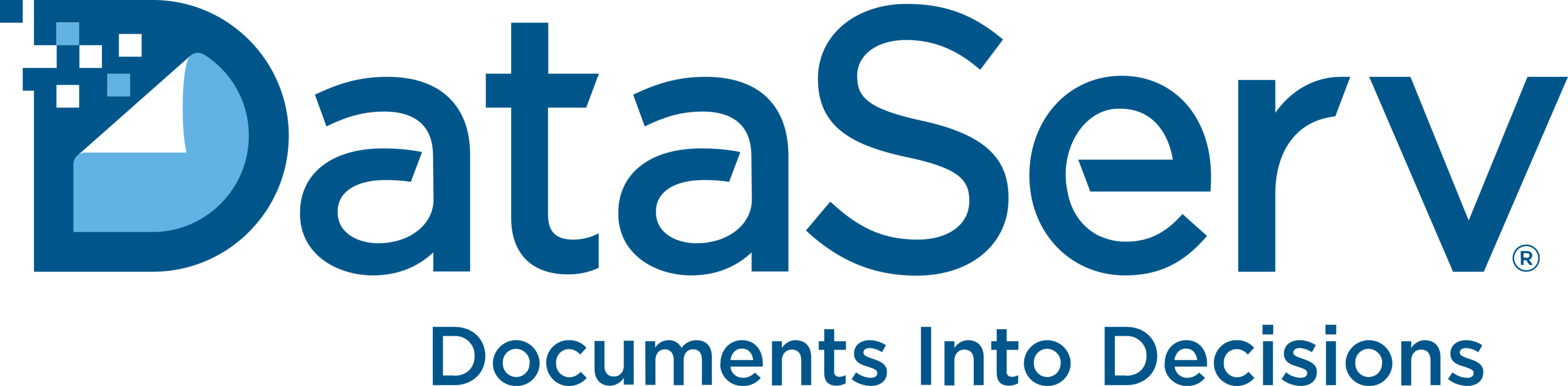 DataServ Logo