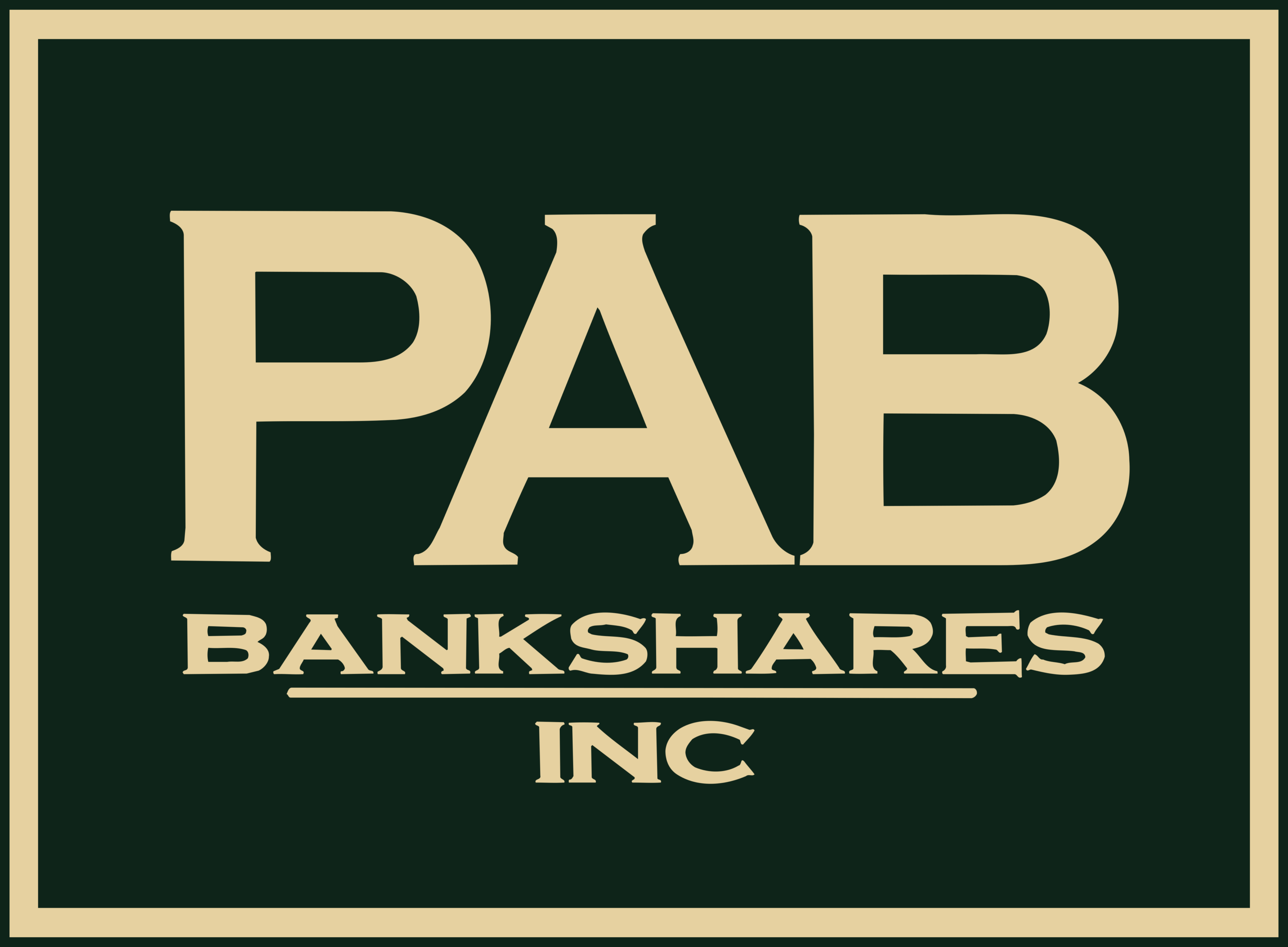 PAB Bankshares Logo