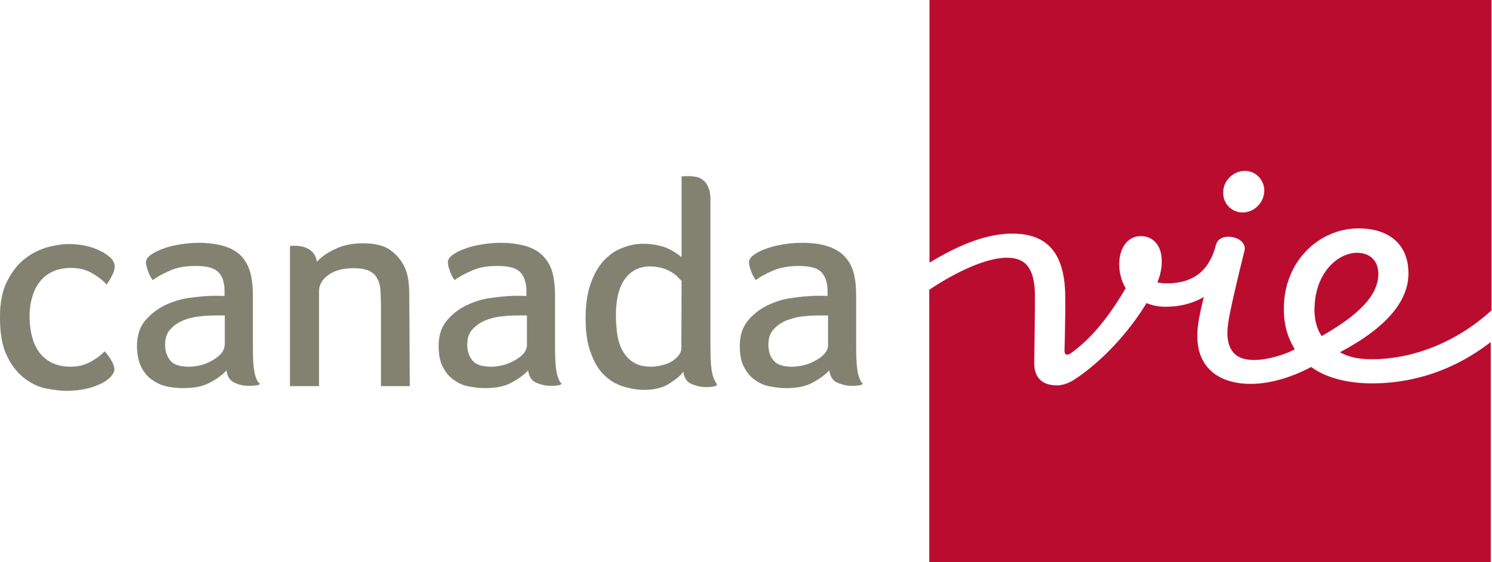 Canada Vie Logo